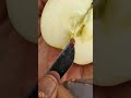 زراعة التفاح من البذور في المنزل بطريقة سهلة لاتنسى الاشتراك في القناة ولايك 