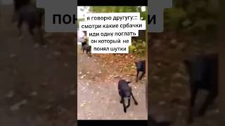 Ахаха #Угар