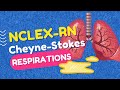 NCLEX-RN Question Review - Cheyne-Stokes Respirations || High Yield