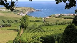 São Miguel travel tip : Chá Porto Formoso - São Miguel - Açores #azores