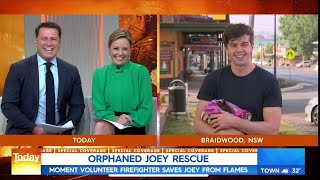Saving Baby Kangaroo Australias Bushfires Today Show Interview