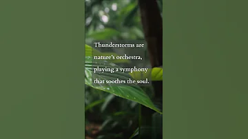 Experience Tranquility with Thunder Serenity: The Perfect Ambient Music