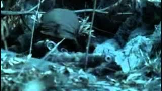 Download lagu Megadeth - Sudden Death []