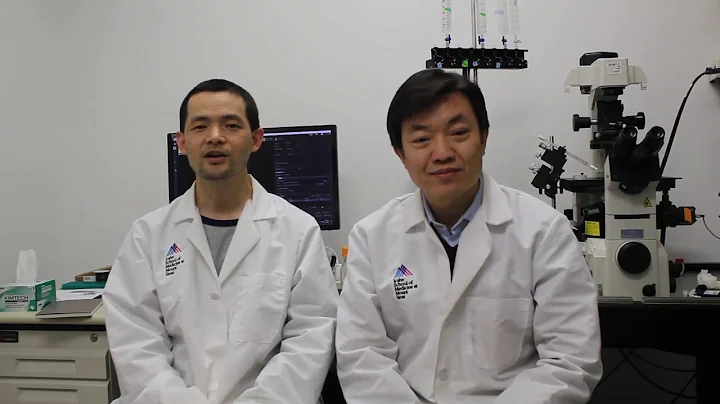 Friedman Brain Institute Research Scholar: Minghui Wang, PhD and Aiqun Li, PhD - DayDayNews