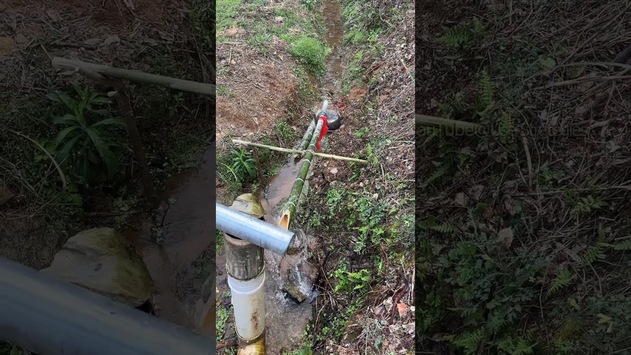 Physical Bird Repellet, Simple and Safe