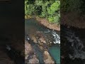 The Art of Pure Nature: Exclusive Birding &amp; Luxury Art at Drake Bay River View