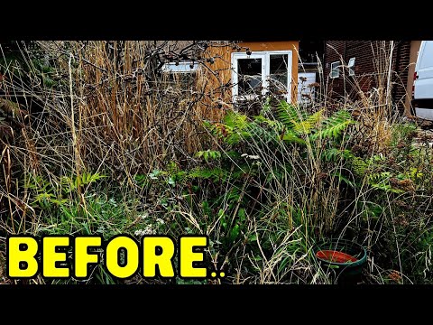 Videó: A benőtt kert helyreállítása – Tippek a benőtt kertek helyreállításához