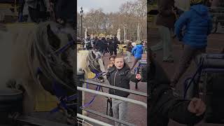 Beautiful Gypsy Horses