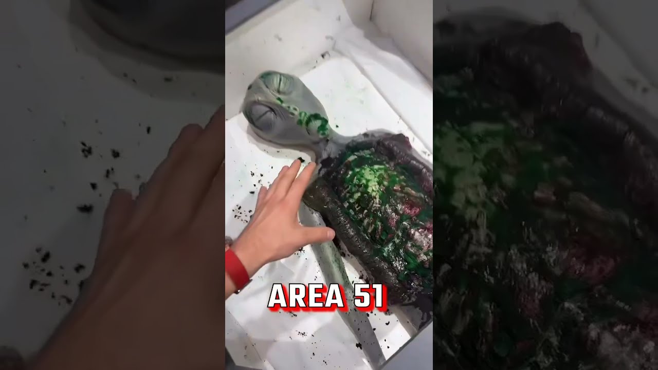 I Went To Area 51 