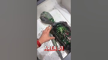 Thumbnail of I went to Area 51 😭