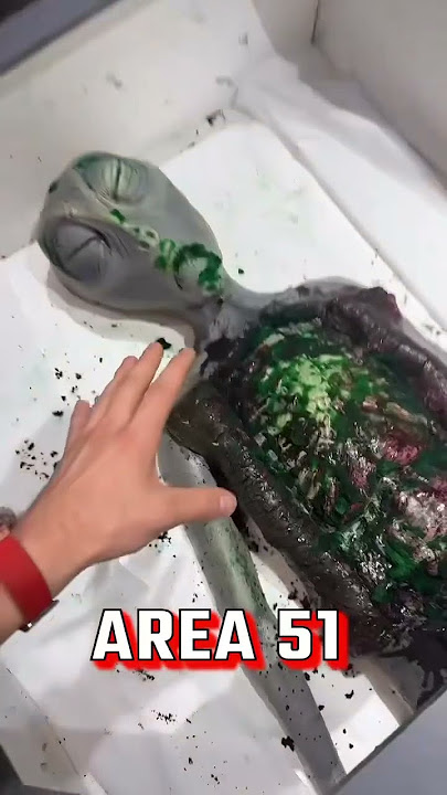 I went to Area 51 😭