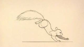 Squirrel animation.mov
