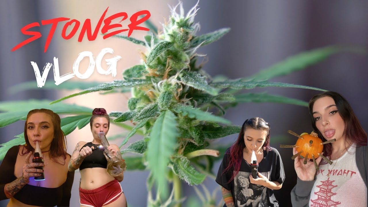 неделя кайфа