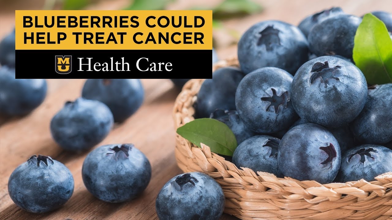 Berry Gives Boost to Cervical Cancer Therapy - MU School of Medicine