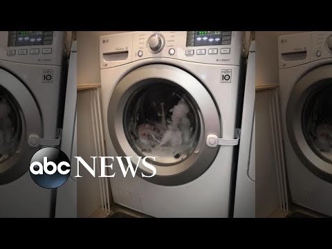 Parents say toddler got stuck in washing machine