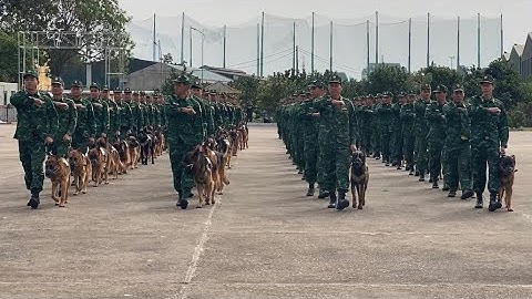 QUÂN KHUYỂN LUYỆN TẬP ĐỘI NGŨ ĐỀU VÀ ĐẸP