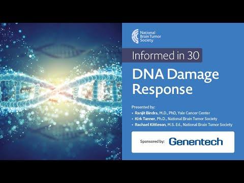 Informed In 30 Understanding DNA Damage Repair