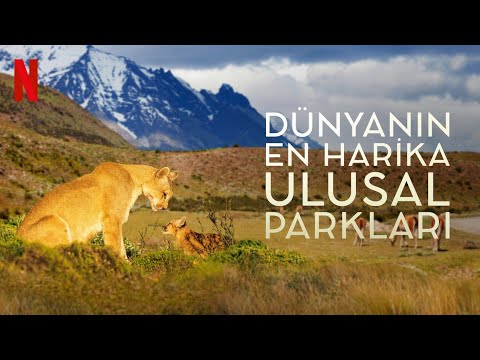 Dünyanın En Harika Ulusal Parkları - 1. Sezon (2022) Türkçe Dublaj Fragman