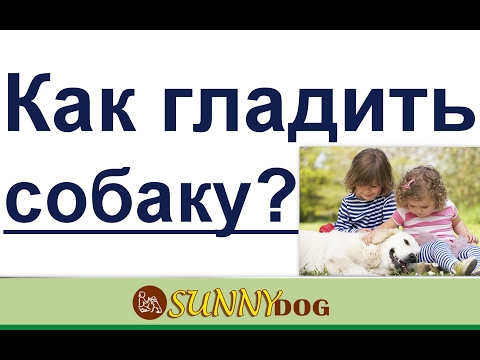 как гладить собаку deti i sobaki dressirovka