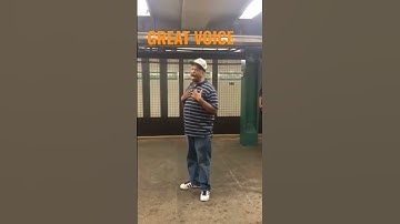 GREAT VOICE AT NEW YORK TRAIN, MIKE YUNG UNCHAINED MELODY