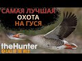 The Hunter Call of the Wild | Самая лучшая гусиная охота в жизни! Охота на гуся