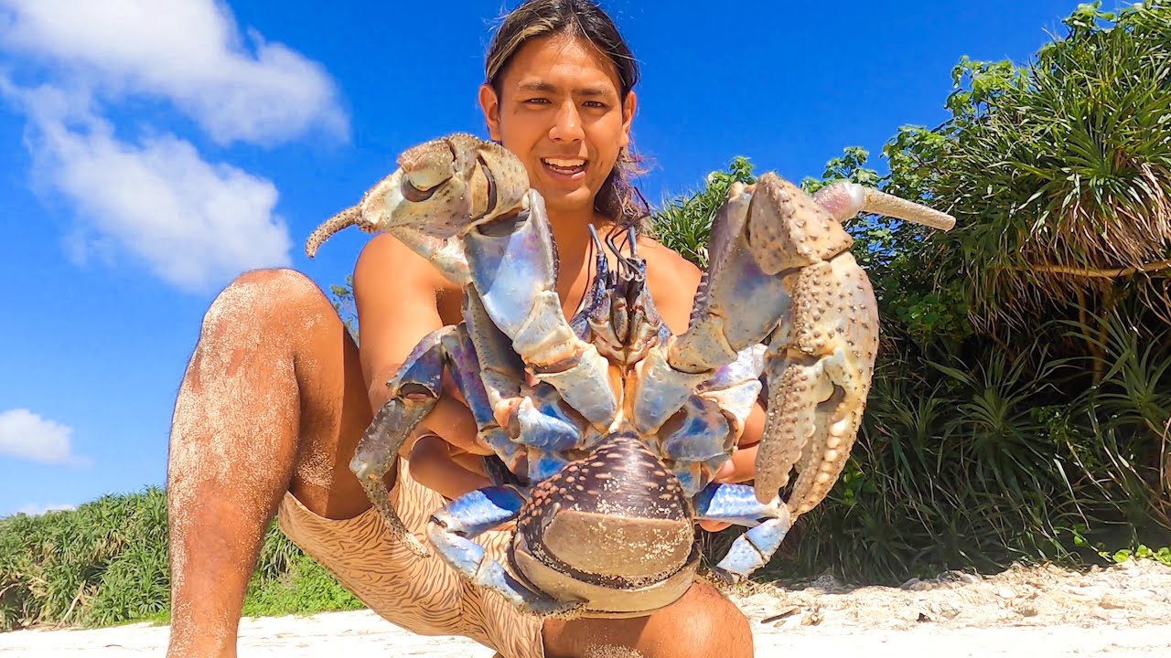 Giant coconut crab!! ︎ Stick your hand in the hole and drag it