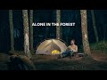 Solo Camping di Hutan Pinus, Santai dengan Cuaca Berangin, Tidur di Tenda Kecil, ASMR