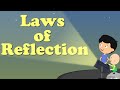 ⁣Laws of Reflection | #aumsum #kids #science #education #children