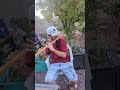 meditation flute #flute #flutemusic #nativeamericanflute #highspirits #nativeamericanflute