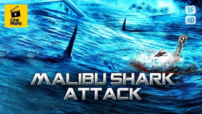 Malibu Shark Attack Warren Christie Film Complet En Francais