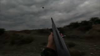 Karatavuk Be Öter Ardıç Kuşu Avı 2026