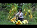 Harvesting Cucumbers and How to Store Cucumbers. Make a perch for the tubers | Sơn Thôn