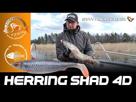 Savage Gear 4D Herring Shad video