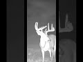 Big buck in the fog! #huntclubtv
