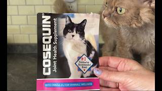 Made a Huge Difference Check Out What the Cat Thought Review