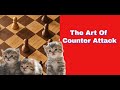 The Art Of Counter Attack | Iosif Pogrebissky vs Efim Geller: 19th Ch Ukraine 1950