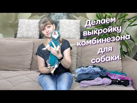 Как сшить комбинезон для маленькой собачки