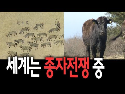 [MBC 다큐멘터리] 토종 2부 - 미래자원의 보고, 토종