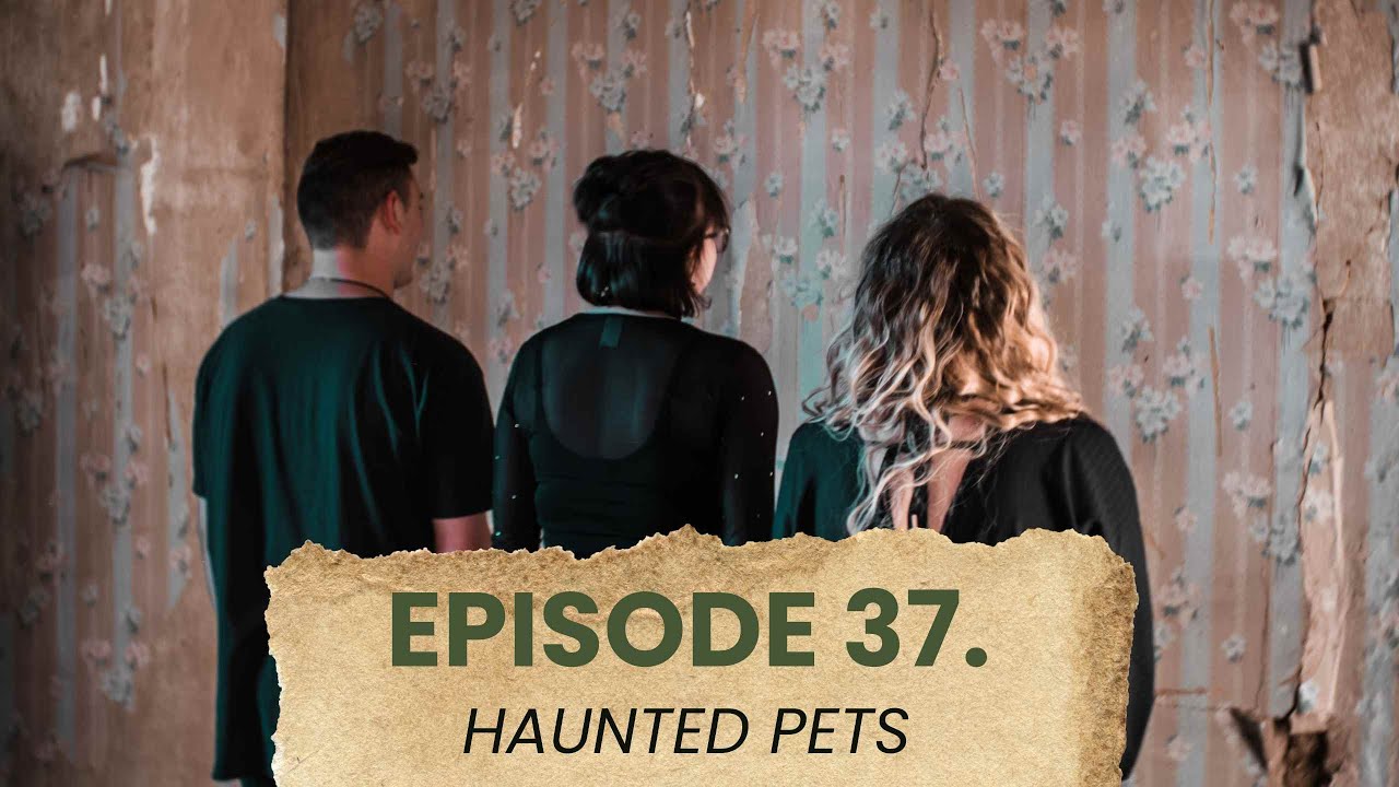 Episode 37. Haunted Pets: The Church Grim, Ghost Cats, and Personal Stories
