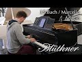 Restaurierter Blüthner Flügel, Modell 6 mit Aliquot | Bach / Marcello - Adagio