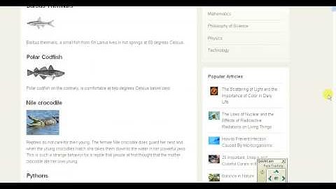 UVM CS195 website usability testsubject 3