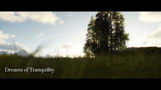 Dreams of Tranquility - Unreal Engine 5 Cinematic [4K]