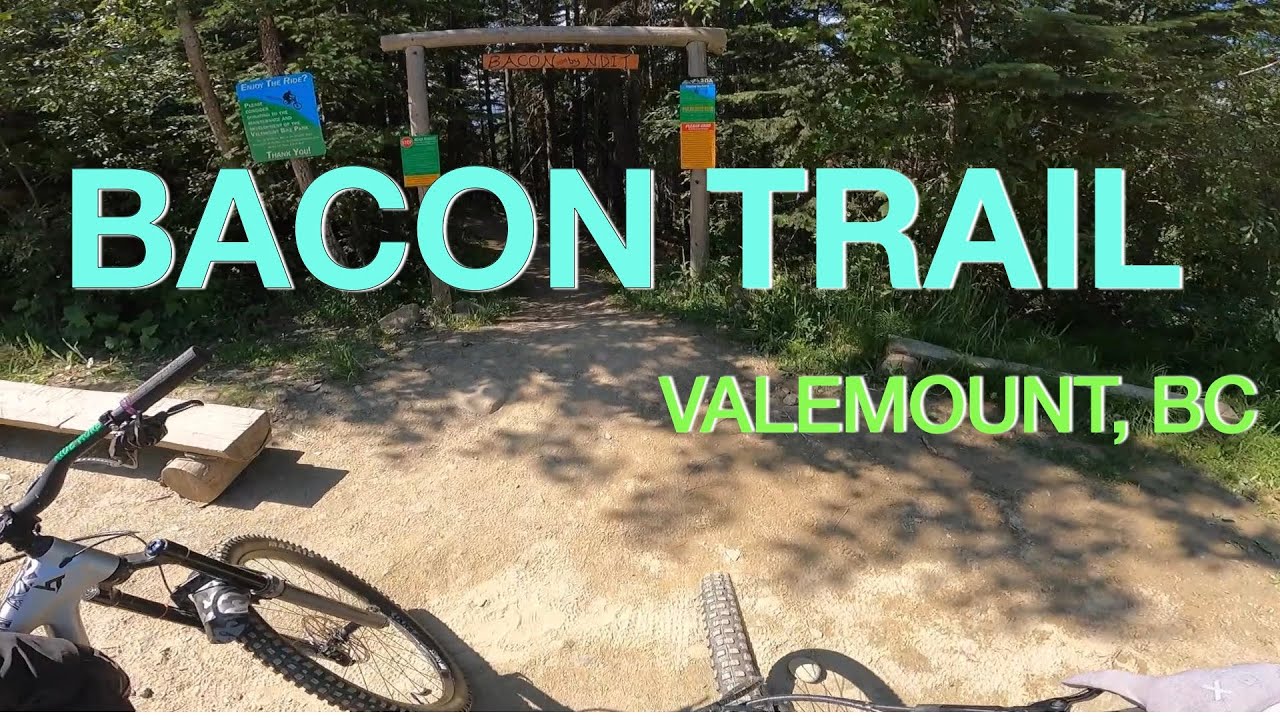 Bacon | Valemount Bike Park | Valemount BC, Canada