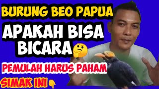 Karakter Burung Beo Papua