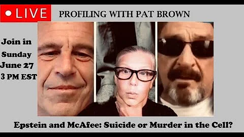 Jeffrey Epstein and John McAfee: Suicide or Murder...