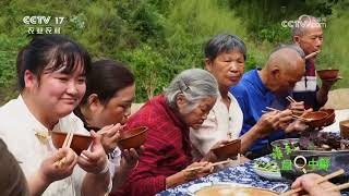 《谁知盘中餐》 20250511 山水知味 唇齿间的“大”味道 | 农业致富经 Agriculture And Farming