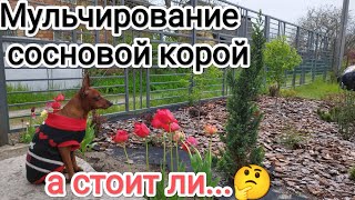 Мульчирование сосновой корой розы и тд...