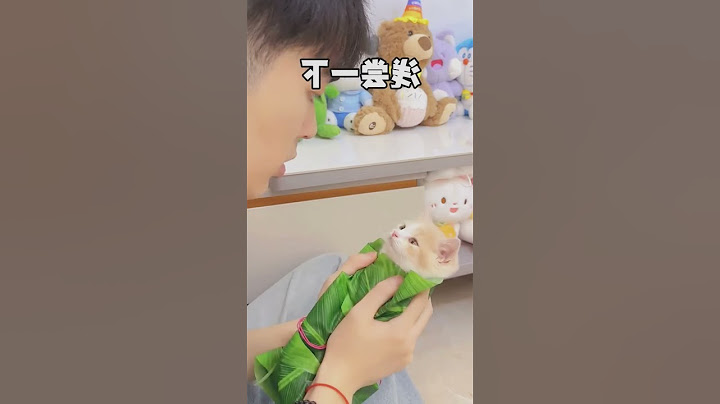 【獨生子的日常】端午节你们爱吃甜粽还是咸粽,我一般吃奶猫粽#小奶喵 #过
