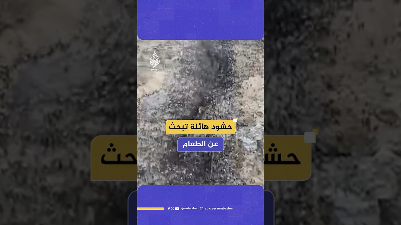 القناة 12 الإسرائيلية تنشر لقطات تظهر حشودا كبيرة من المجوعين في غزة تحاول الحصول على حزم المساعدات