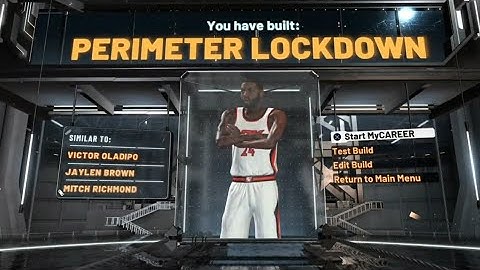 MY PERIMETER LOCKDOWN BUILD - NBA 2K20Build | Shoot, Defend, Playmake, Contacts Dunks